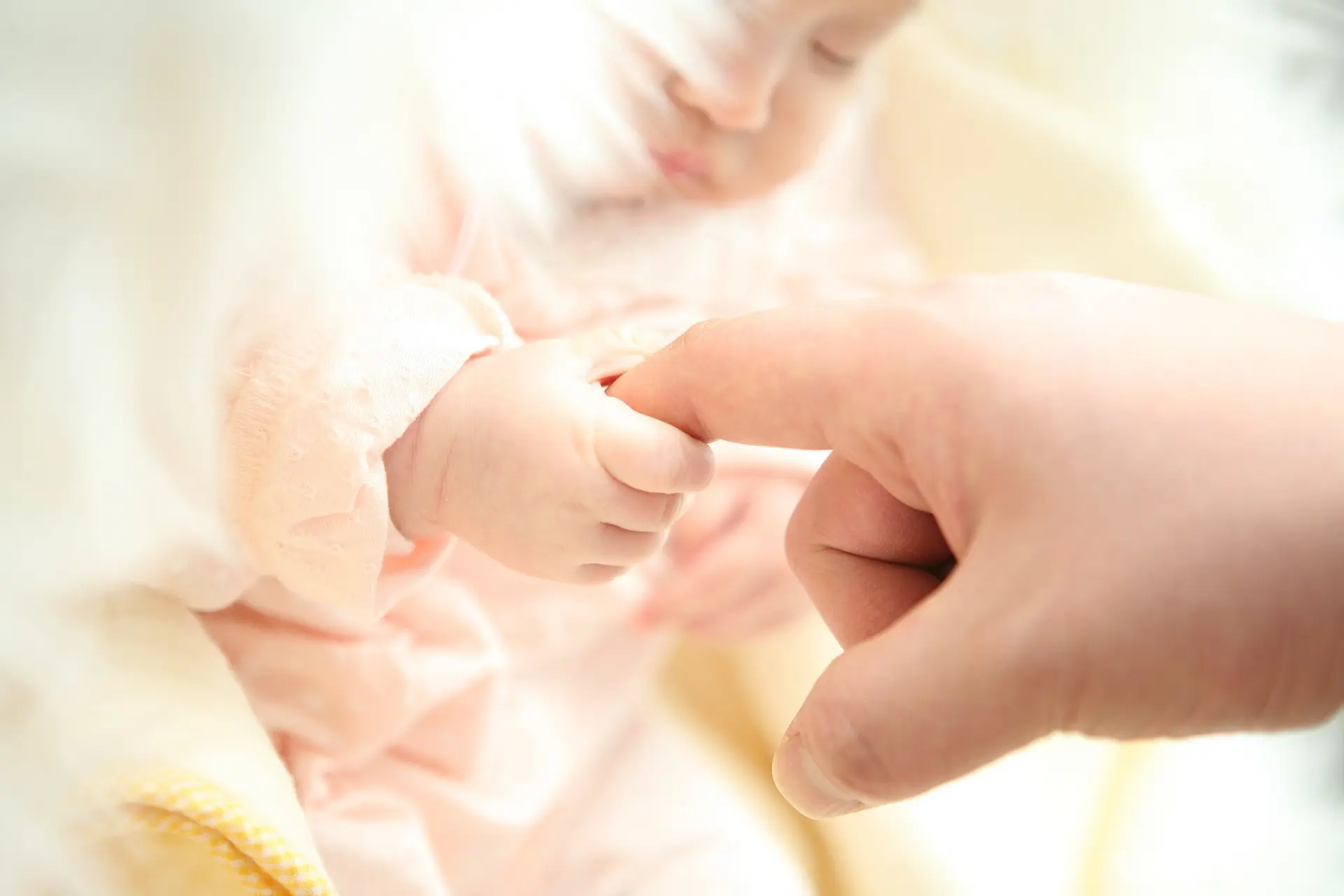 母と子の手の写真